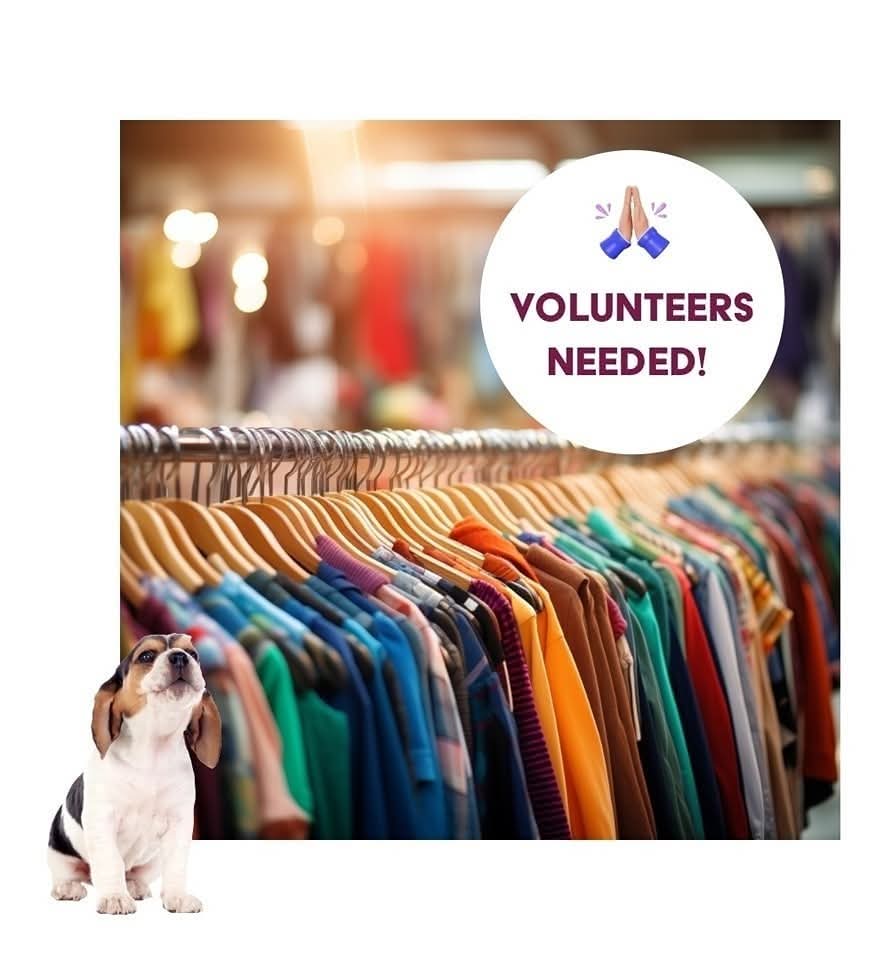 Volunteers needed at our charity shop