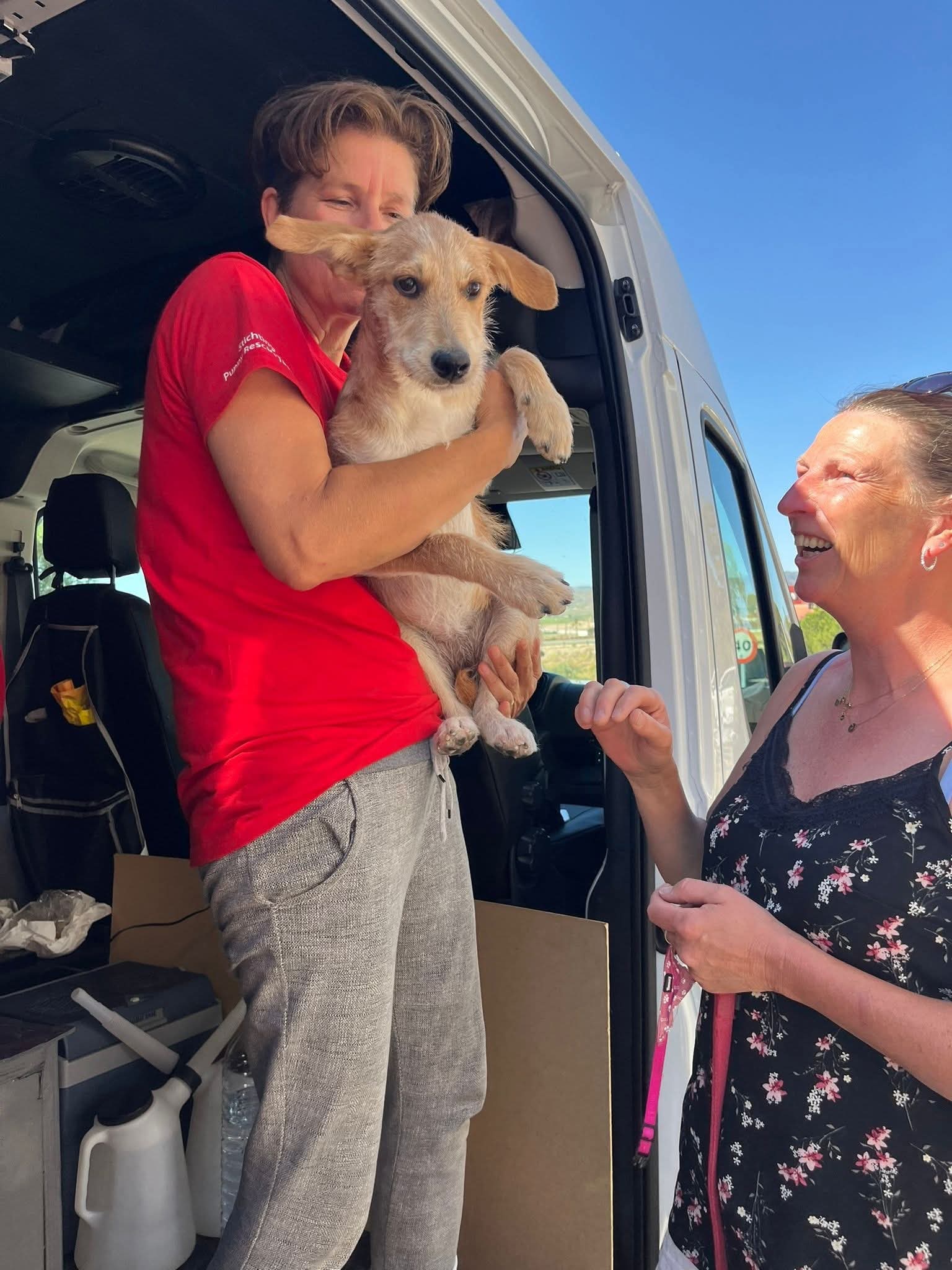 Hope — happily homed in Holland or Belgium