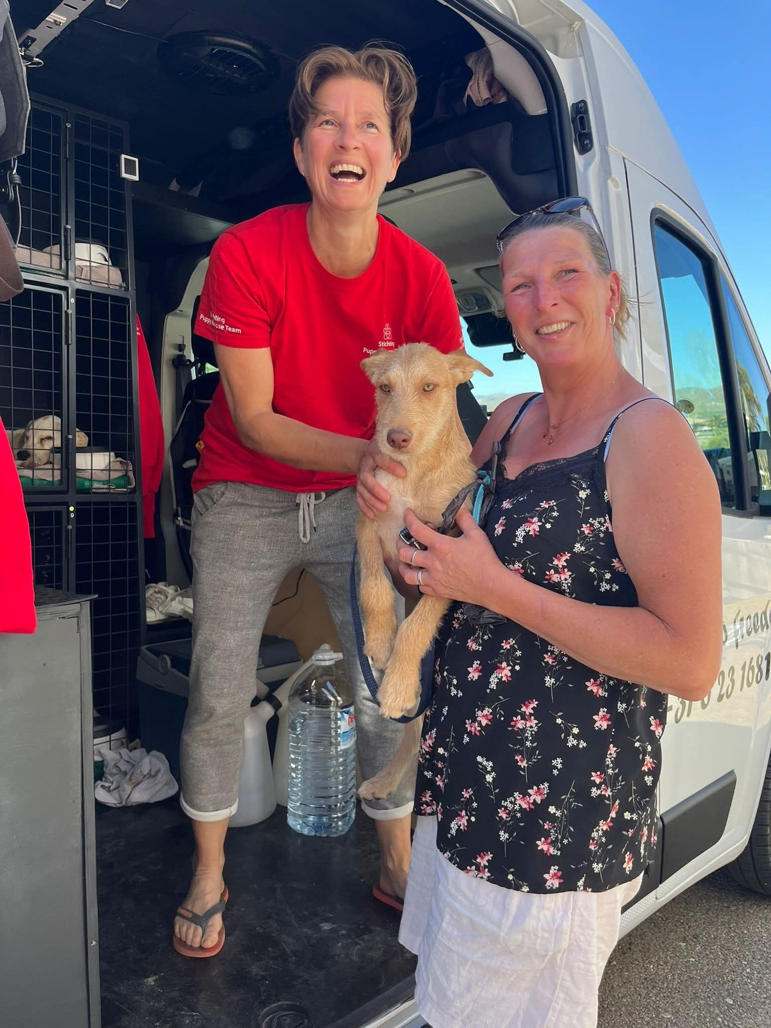 Thelma — happily homed in Holland or Belgium