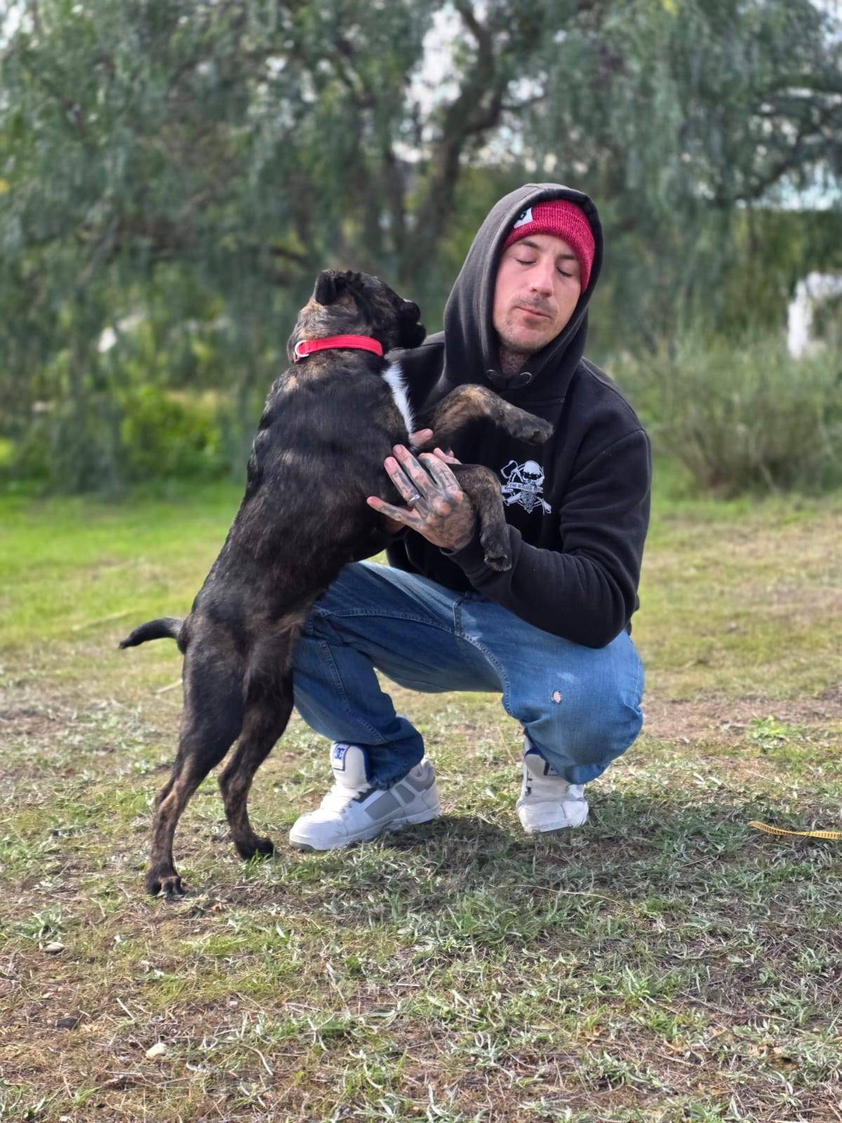 Trixie - Smart puppy needing a leader